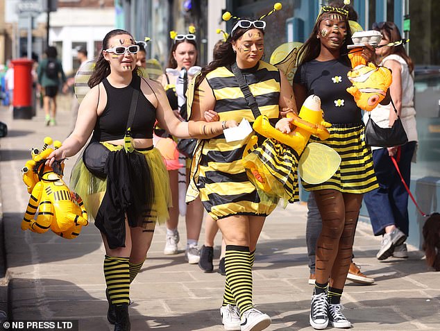 While pollen count may be high, there's nothing stopping these bees from enjoying the sun