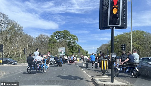 Travellers riding horses and carts ran roughshod through leafy Surrey on Saturday as they caused chaos by driving through red lights and crashing into cars