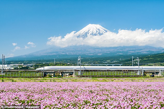 The 100-day itinerary will see passengers partaking in unique, curated cultural experiences and feasting in Michelin-starred restaurants across the globe (pictured: Mount Fuji, Japan)