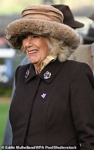 Queen Camilla at Cheltenham horse races in 2025    wearing the Lock & Co fur-trimmed hat