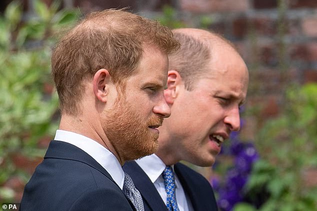 Prince Harry (left) and William (right) are seen together in July 2021