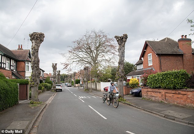 Leafy suburb which is home to Unite regional secretary Annmarie Kilcline