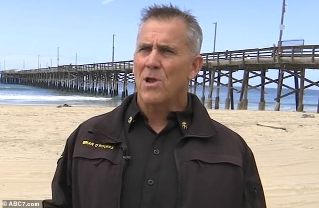 Brian O'Rourke, Newport Beach Fire Department Chief Lifeguard, urged surfers to stay away from sea lions after Tuesday's incident, despite acknowledging that they 'may look docile and really approachable' but are still wildlife (pictured: Brian O'Rourke)