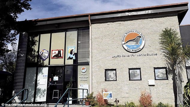 Earlier this month, the Marine Mammal Care Center discovered that the behavior change of sea lions was tied to the increasing number of toxic algae blooms forming in the area - the same cause Dr. Deming cited in connection with the recent attempted attack at Newport Beach