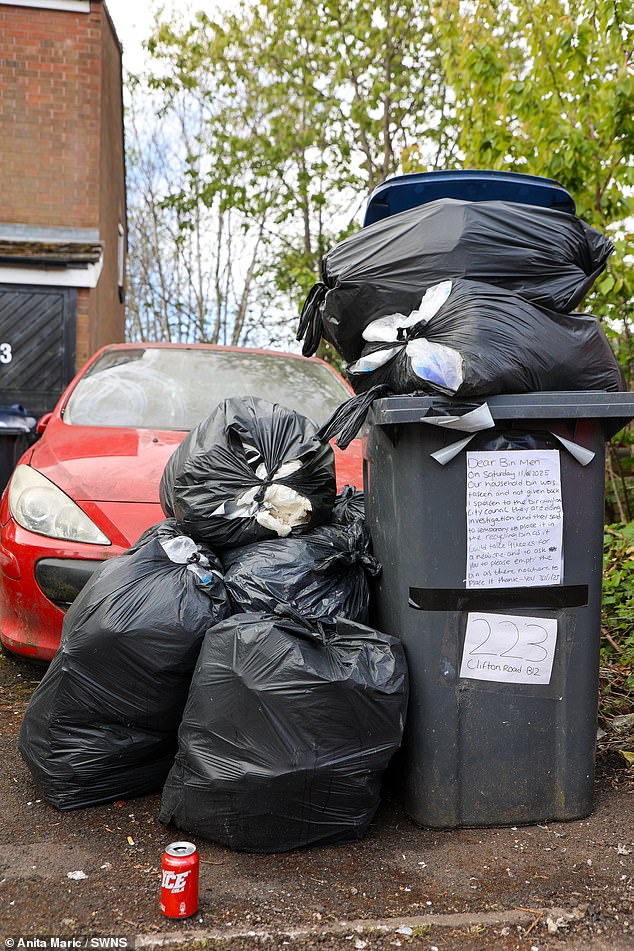Familiar scenes across the city see mounds of rubbish stacked up outside people's homes
