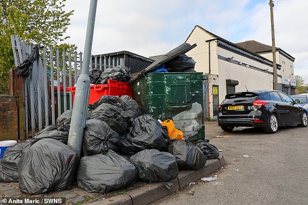 Unite said the industrial action was triggered by the council's decision to remove the role of waste recycling and collection officers from its fleets