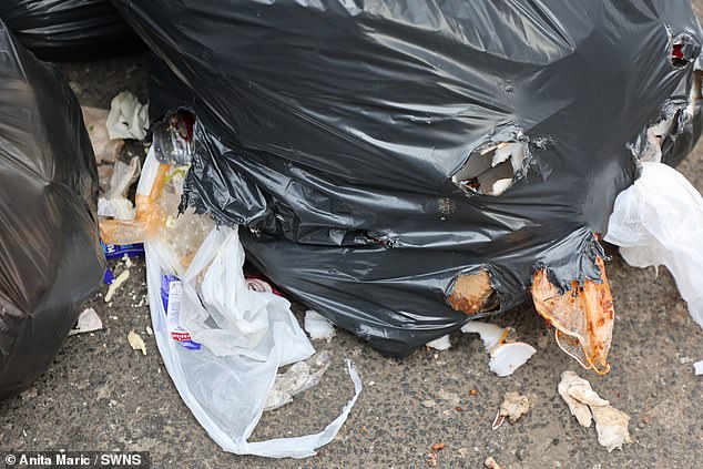 Locals say the rubbish is attracting rodents, including rats, to people's homes
