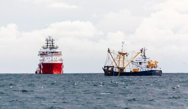 The EU's takeover of our fishing grounds devastated the UK fishing fleet. One of the great opportunities given to this country by Brexit was the chance to reverse the Common Fisheries Policy and to re-establish a flourishing British fishing sector (stock image)