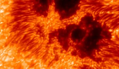 The incredible image shows a cluster of sun spots - areas of intense magnetic energy. Each pixel in the original version of the image corresponds to 10 km (or 6.2 miles) on the Sun