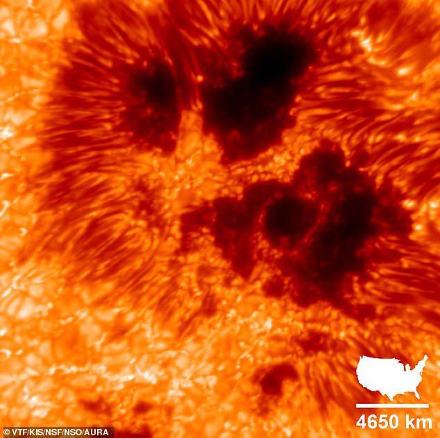The incredible image shows a cluster of sun spots - areas of intense magnetic energy. Each pixel in the original version of the image corresponds to 10 km (or 6.2 miles) on the Sun