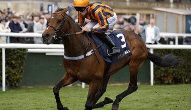Mail Sport's racing expert Robin Goodfellow delivers his tips for Saturday's meetings