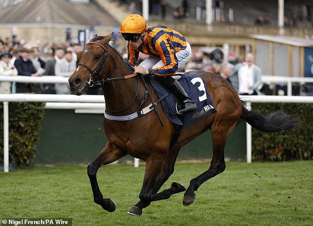 Mail Sport's racing expert Robin Goodfellow delivers his tips for Saturday's meetings