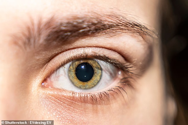 The the obscure clue in your eye that could reveal you will get dementia as young as 45-years-old  all comes down to your blood vessel health and the thickness of your retina, researches from New Zealand have said