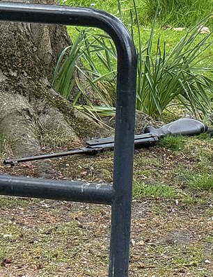 Pictured: A break barrel air rifle, that fires lead pellets