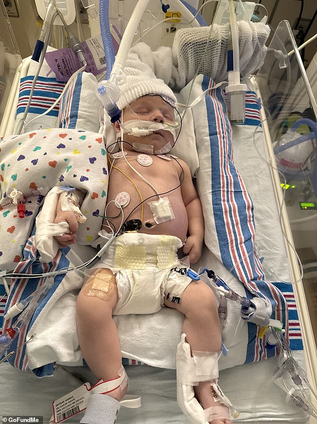 The Groths say that Cole 'bled so much that he suffered kidney damage, liver damage, neurological damage, had seizures, and worse intestinal damage'