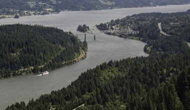 The alarming discovery was made on April 22 when a commercial fisherman caught a Chinese mitten crab in the Lower Columbia River (pictured), just south of the Washington state border
