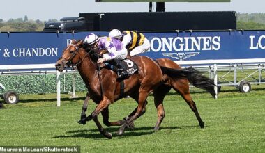 Mail Sport's racing expert Robin Goodfellow delivers his tips for Thursday's meetings