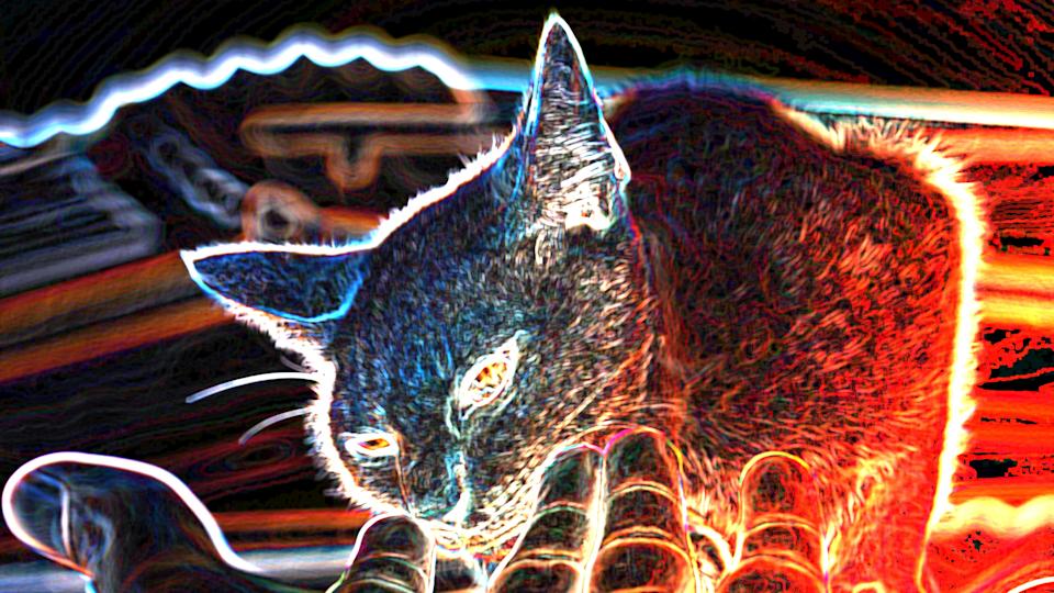  A digitally-enhanced photo of a cat. 