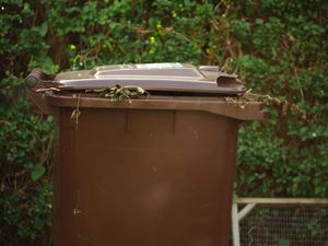 Credit walsall council 
Permission for use for LDR partners 
