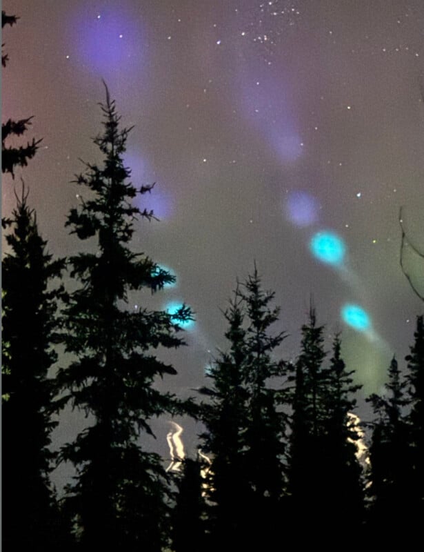 Silhouetted pine trees under a night sky featuring ethereal streaks and orbs of blue and green light. Stars are faintly visible in the background, adding to the serene and mystical atmosphere.