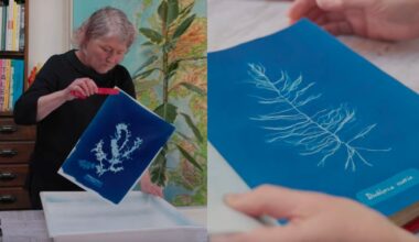 Photographer Turns Trash Into Cyanotype Treasure to Save the Oceans