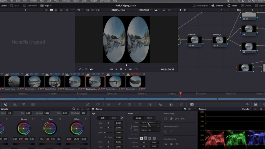 DaVinci Resolve Apple ProIM workflow