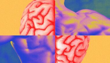 Muscle Memory Isn’t What You Think It Is