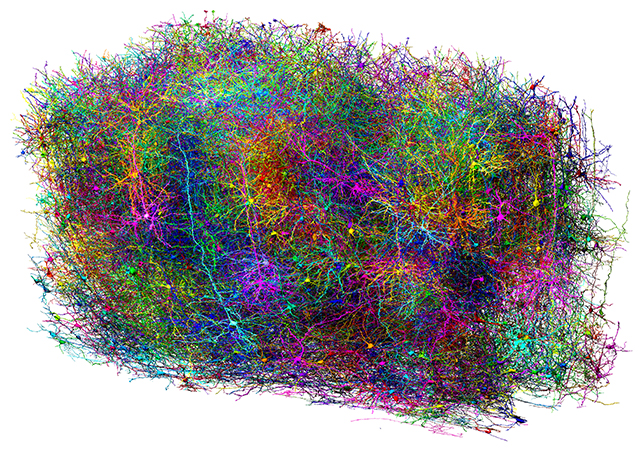 Brain map