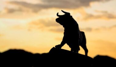 Silhouette of a bull standing on top of a landscape with the sun setting behind it