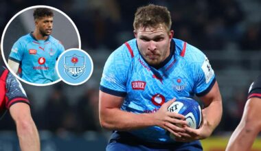 Bulls player ratings: Springboks shine & 'outrageous' Jan-Hendrik Wessels : Planet Rugby