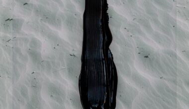Cave Sermon - Fragile Wings Review