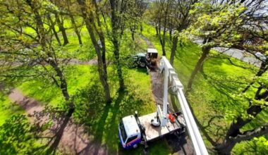 Tree surgery in Cross Flatts Park