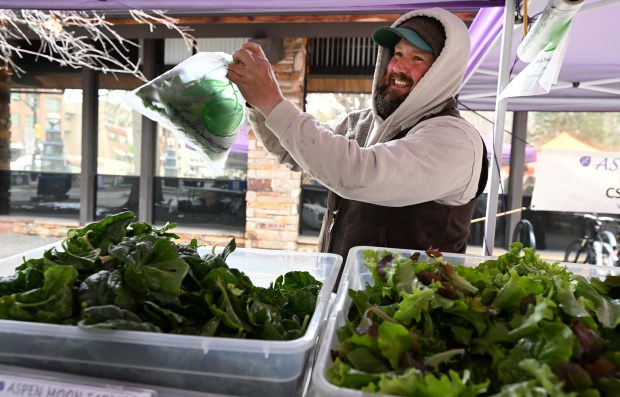 Josh Olsen bags up lettuce on Saturday. Aspen Moon Farm’s...