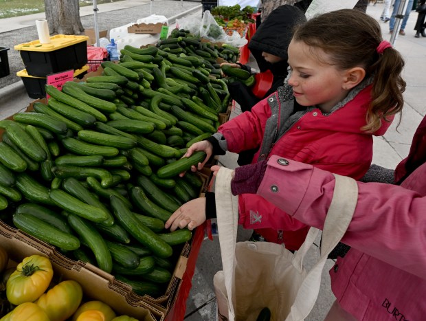 Alee D. picks out cucumbers at Rocky Mountain Fresh during...