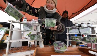 Boulder County Farmer’s Markets Open for the Season – Boulder Daily Camera