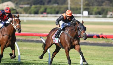 Horse racing: Mehzebeen shines at Trentham with thrilling Hawke’s Bay Cup win
