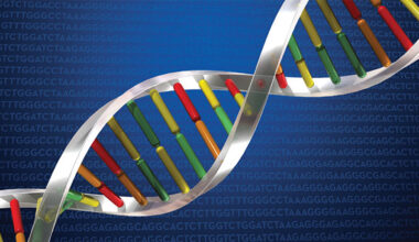 Parts of our DNA may evolve much faster than previously thought – @theU