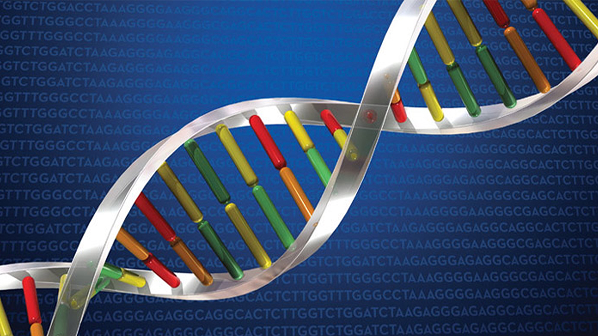 Parts of our DNA may evolve much faster than previously thought – @theU