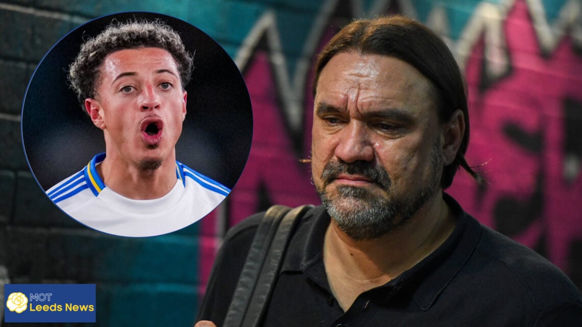 Daniel Farke, Ethan Ampadu