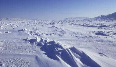 Ellesmere Island sastrugi