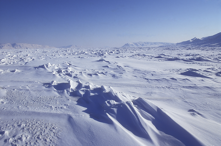 Ellesmere Island sastrugi