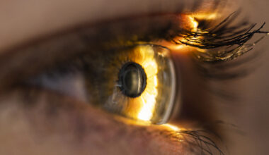 Something in The Back of Your Eye Could Reveal Whether You Have ADHD : ScienceAlert