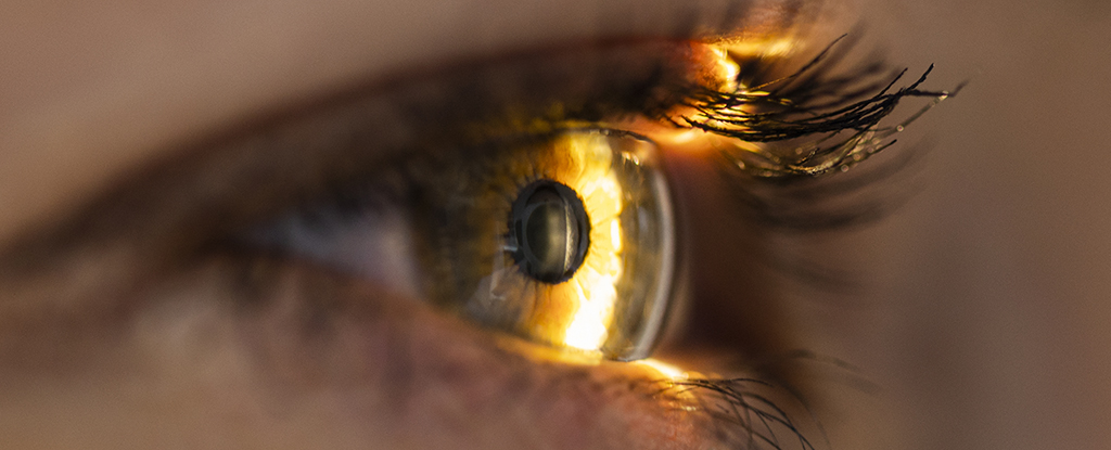 Something in The Back of Your Eye Could Reveal Whether You Have ADHD : ScienceAlert