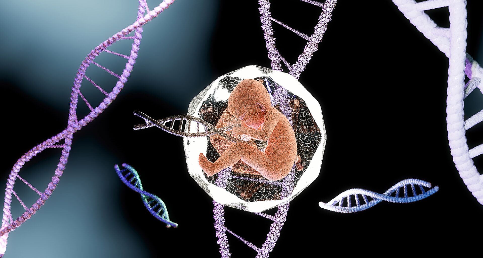 Illustration of fetus with DNA.