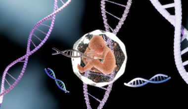 Illustration of fetus with DNA.