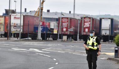 Germany urges Britain to rejoin EU customs union – POLITICO