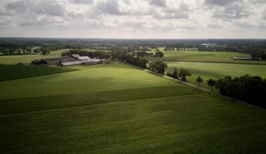 Netherlands delays nitrogen emissions target, defying its own judges and the EU – POLITICO