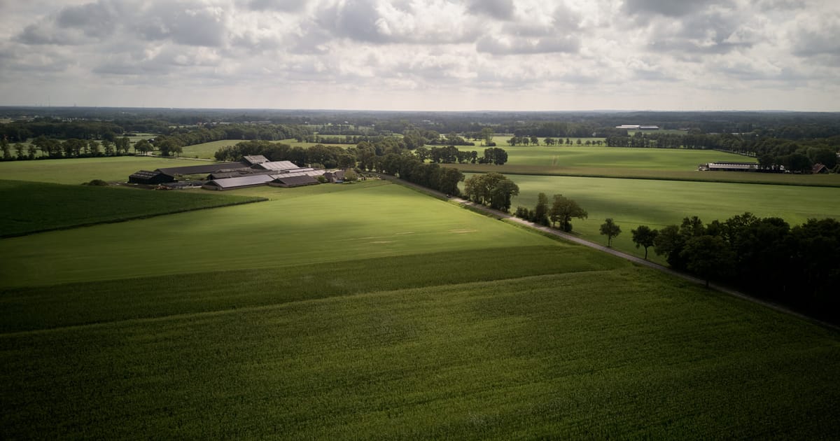 Netherlands delays nitrogen emissions target, defying its own judges and the EU – POLITICO