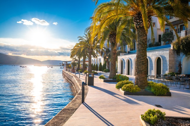 Luxury coastline of Town of Tivat
