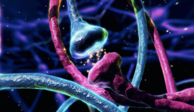 Neuron synapse,impulses in brain.